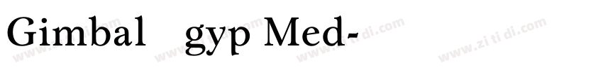 Gimbal Egyp Med字体转换